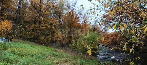 Участок в Башкортостан, Гафурийский район, Красноусольский сельсовет, ...