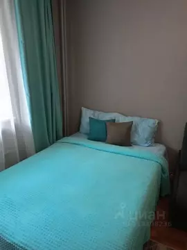 Студия Новосибирская область, Новосибирск Березовая ул., 19 (24.0 м)