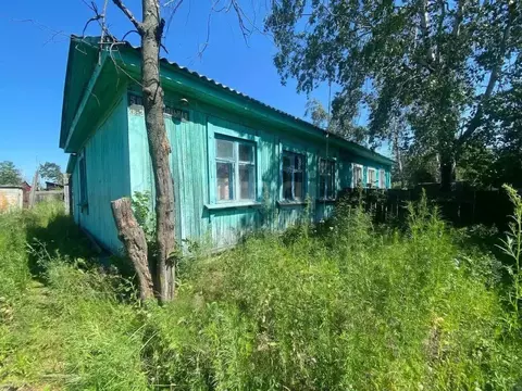 Дом в Амурская область, Серышево пгт ул. Школьная, 50 (51 м)