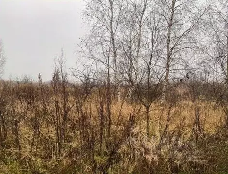 Участок в Московская область, Серпухов городской округ, д. Нефедово  ...