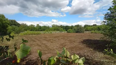 Участок в Самарская область, Красноярский район, Коммунарский с/пос, ...