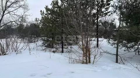 Участок в Воронежская область, Рамонский район, Новоживотинновское ...