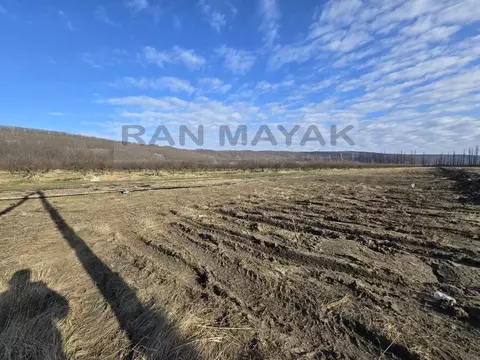 Участок в Адыгея, Майкопский район, Победенское с/пос, пос. Совхозный ...