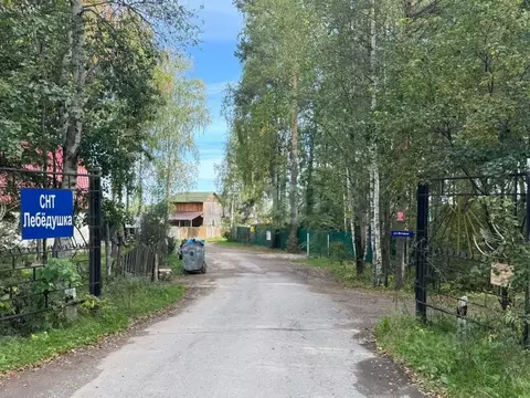 Участок в Тюменская область, Нижнетавдинский район, Лебедушка СПК ул. ...