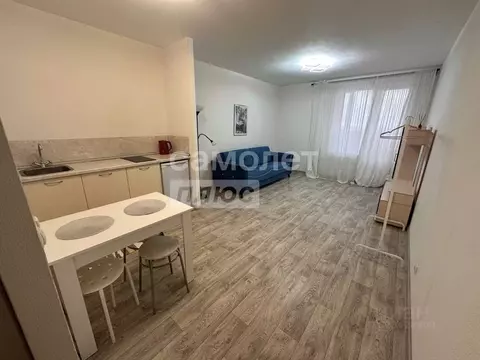 Студия Пермский край, Пермь ул. Вильямса, 51А (29.9 м)