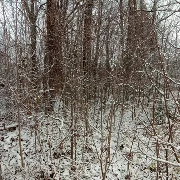 Участок в Московская область, Клин городской округ, пос. Нарынка ул. ...