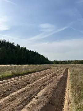 Участок в Московская область, Раменский муниципальный округ, Опушкино ...
