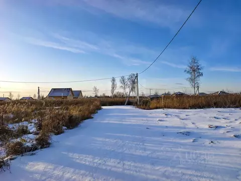 Участок в Тюменская область, Тюмень Садовое товарищество Липовый ...