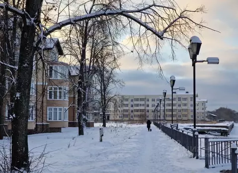 Студия Московская область, Дмитров Рогачевская ул., 44 (68.8 м)