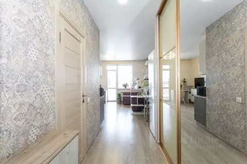 Студия Новосибирская область, Новосибирск ул. Костычева, 36 (25.7 м)