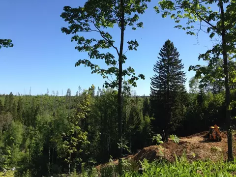 Участок в Ленинградская область, Приозерский район, Сосновское с/пос, ...