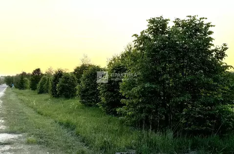 Продается участок в д. Меньшово