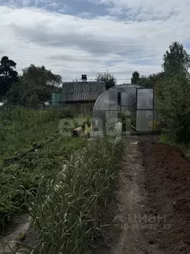 Дом в Свердловская область, Нижний Тагил НТМК № 14 КС,  (18 м)