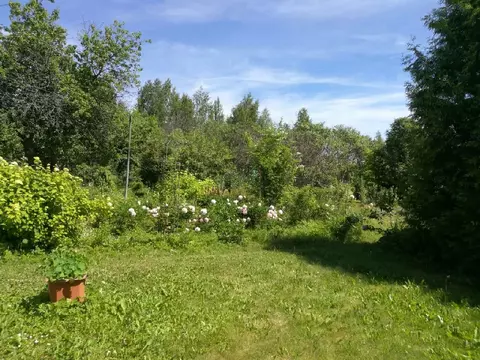 Продается участок в д. Пантелеево