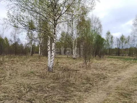 Участок в Тверская область, Калининский муниципальный округ, деревня ...