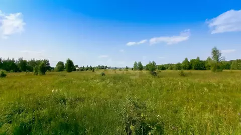Участок в Ярославская область, Гаврилов-Ямский муниципальный округ, д. ...