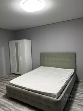 Студия Пермский край, Пермь ул. Пушкина, 37 (32.0 м)