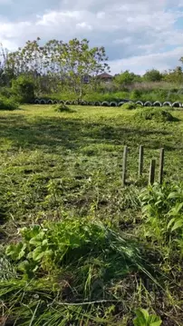 Участок в Ростовская область, Ростов-на-Дону Огородник ОНТ, ул. 3-я ...