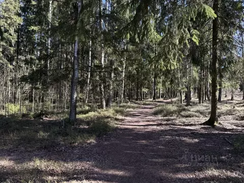 Участок в Ленинградская область, Всеволожский район, Рахьинское ...