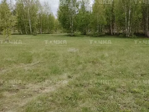 Участок в Челябинская область, Чебаркульский район, Травниковское ...