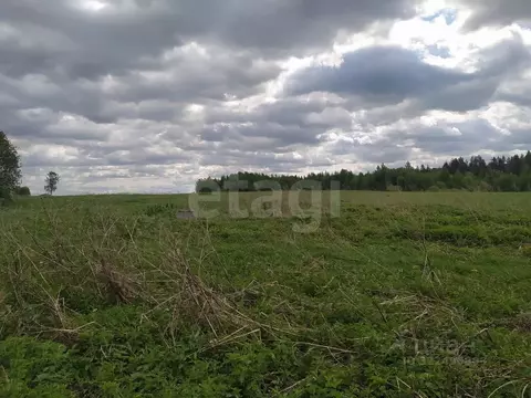 Участок в Вологодская область, Лиана садоводческое товарищество  (6.0 ...