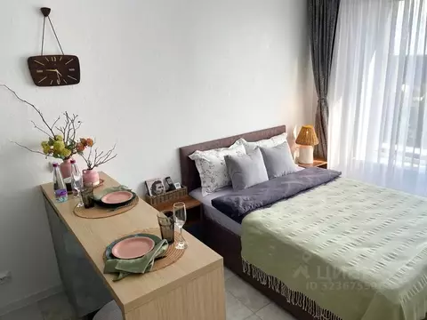 Студия Смоленская область, Смоленск проезд Маршала Конева, 32 (25.0 м)