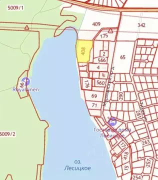 Участок в Псковская область, Печорский муниципальный округ, д. Лесицко ...