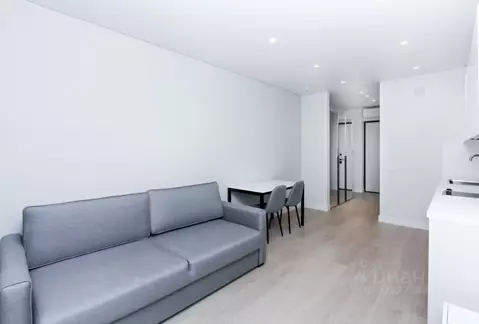 Студия Свердловская область, Екатеринбург ул. Шаумяна, 24 (24.0 м)