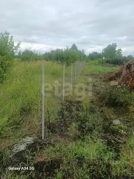 Участок в Алтайский край, Первомайский район, Феникс СНТ ул. 8-я, 72 ...