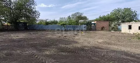 Участок в Ростовская область, Новочеркасск № 20 Ботаника садовое ...