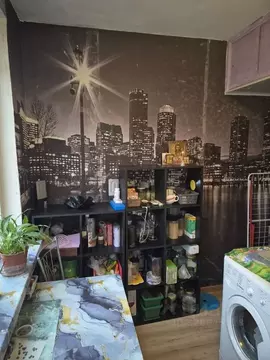 1-к кв. Санкт-Петербург Гражданский просп., 79К3 (29.7 м)