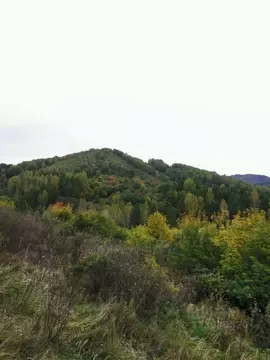 Участок в Алтайский край, Белокуриха ул. Угрюмова (9.97 сот.)