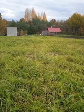 Участок в Вологодская область, д. Морино 15А (8.8 сот.)