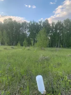 Участок в Курская область, Курский район, Моковский сельсовет, д. 1-я ...