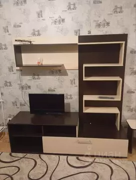 Студия Красноярский край, Красноярск ул. Карамзина, 8 (27.0 м)