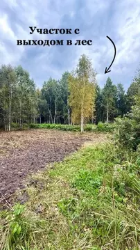 Участок в Тюменская область, Нижнетавдинский муниципальный округ, ...