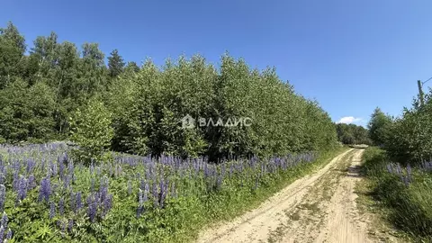 Участок в Владимирская область, Собинский муниципальный округ, д. ...