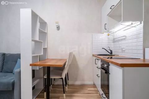 Квартира-студия: Санкт-Петербург, Плесецкая улица, 10 (20.6 м)