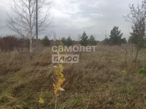 Участок в Алтайский край, Первомайский район, пос. Новый ул. ...