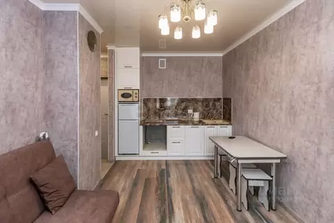 Студия Тюменская область, Тюмень ул. Фармана Салманова, 5 (26.9 м)