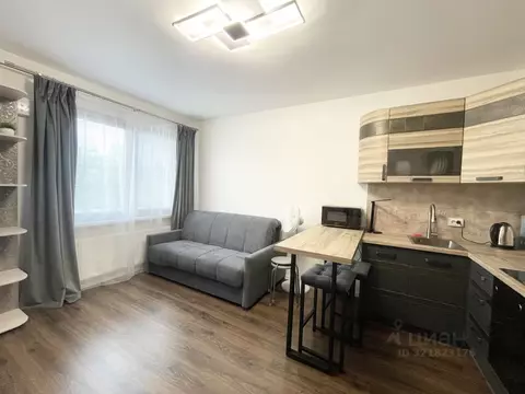 Студия Санкт-Петербург просп. Большевиков, 68к1 (21.4 м)