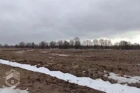 Участок в Новгородская область, Новгородский район, Ермолинское с/пос, ...