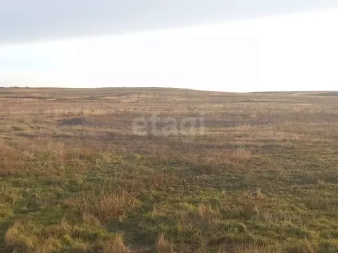 Участок в Крым, Ленино пгт ул. Трудовая (10.0 сот.)