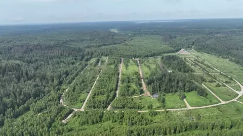 Участок в Ленинградская область, Приозерский район, Раздольевское ...