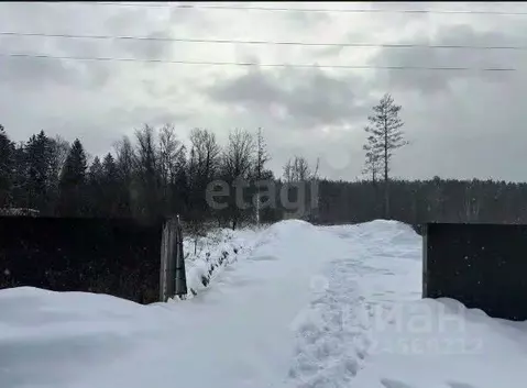 Участок в Московская область, Одинцовский городской округ, 30 лет ...