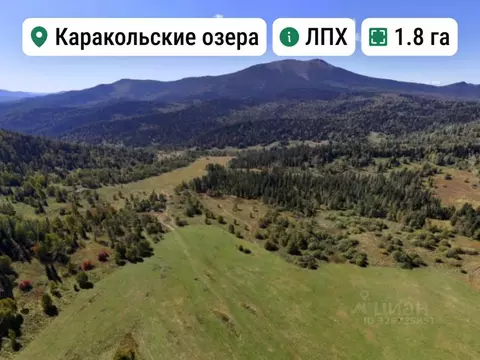 Участок в Алтай, Чемальский район, Элекмонарское с/пос, с. Элекмонар  ...