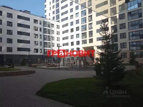 Студия Новосибирская область, Новосибирск Тайгинская ул., 39 (26.6 м)