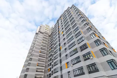 Студия Тюменская область, Тюменский муниципальный округ, д. Патрушева ...