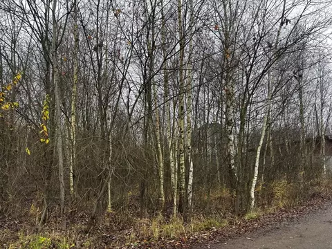 Участок в Московская область, Электрогорск Павлово-Посадский городской ...