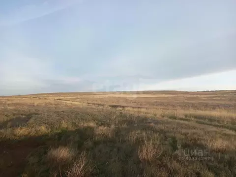 Участок в Крым, Ленино пгт ул. Трудовая (10.31 сот.)